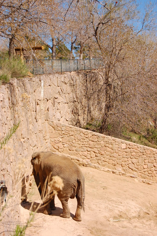 William-2010_04_28 037