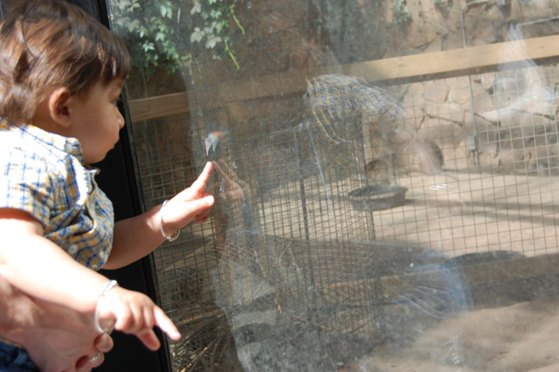 William-2010_04_28 048