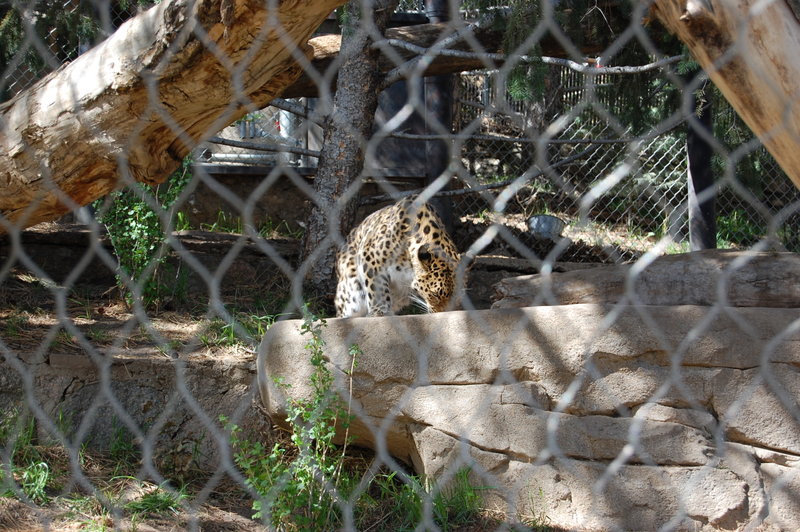 William-2010_04_28 053