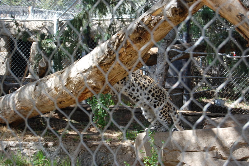 William-2010_04_28 055