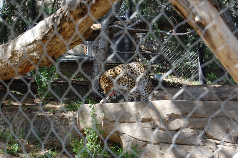 William-2010_04_28 056