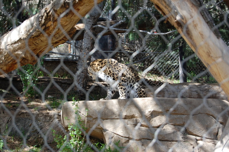 William-2010_04_28 057