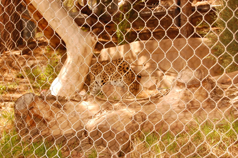 William-2010_04_28 058