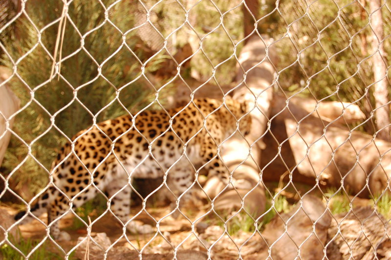 William-2010_04_28 060