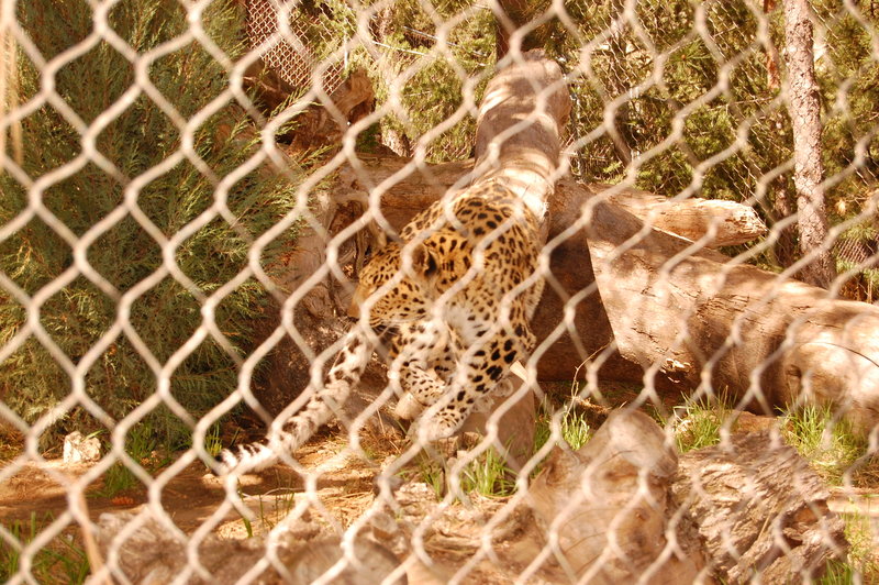 William-2010_04_28 061