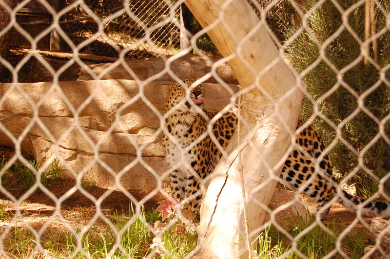 William-2010_04_28 062