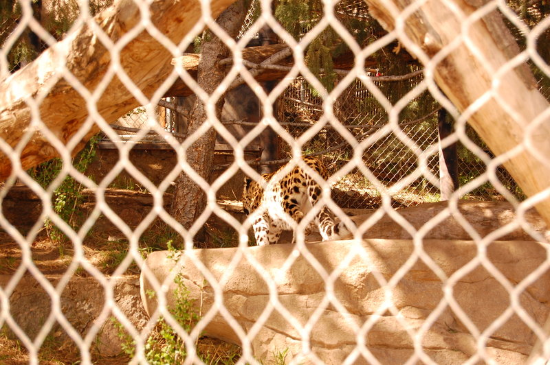 William-2010_04_28 063