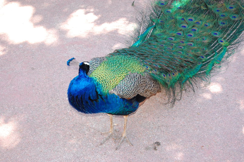 William-2010_04_28 064