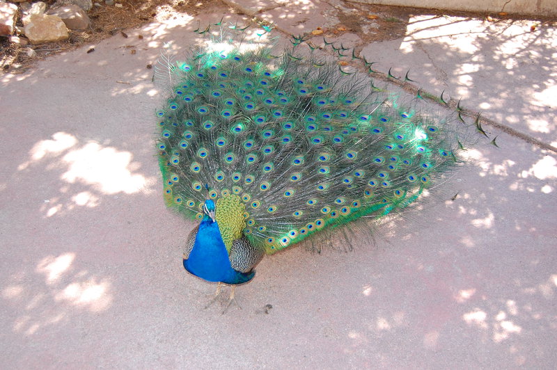 William-2010_04_28 067