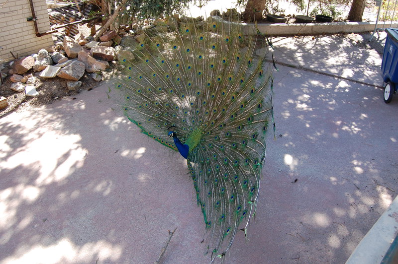 William-2010_04_28 077