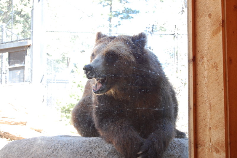 William-2010_04_28 088