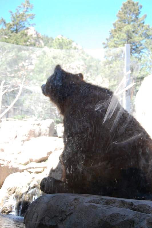 William-2010_04_28 089