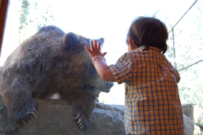 William-2010_04_28 092