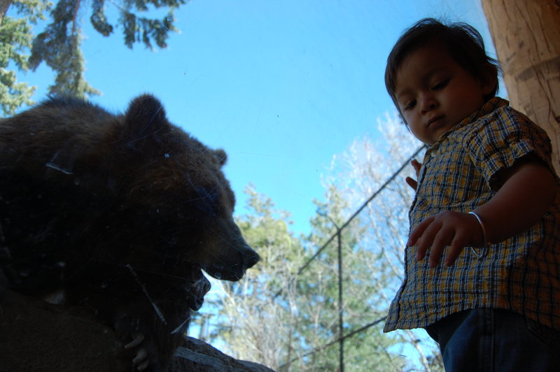 William-2010_04_28 094