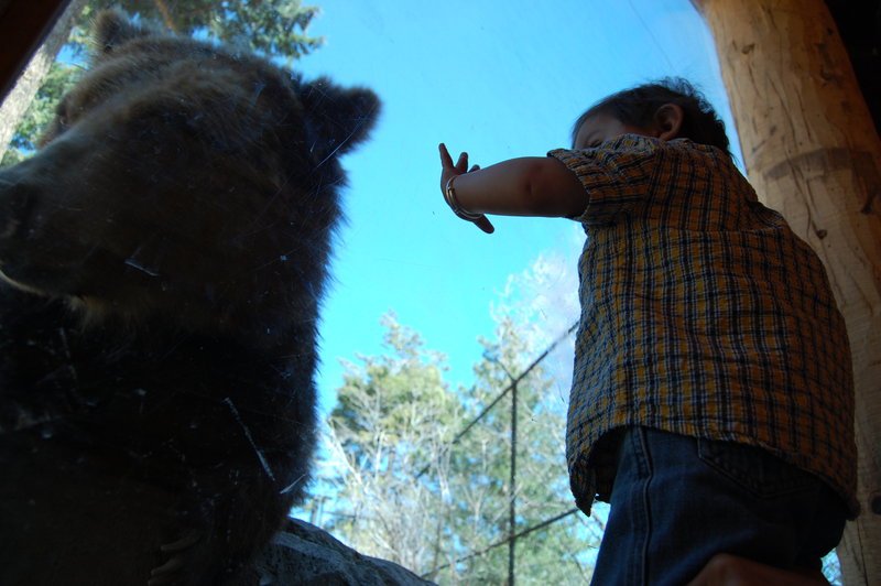 William-2010_04_28 104