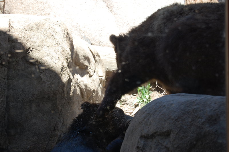 William-2010_04_28 121