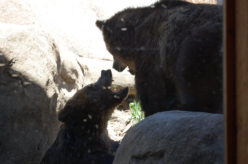 William-2010_04_28 124