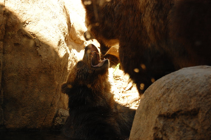 William-2010_04_28 125