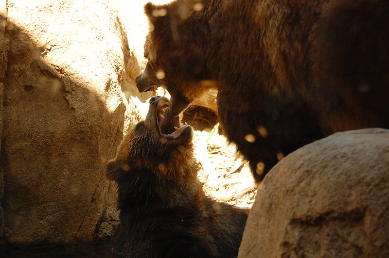 William-2010_04_28 126