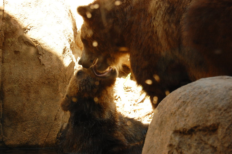 William-2010_04_28 128