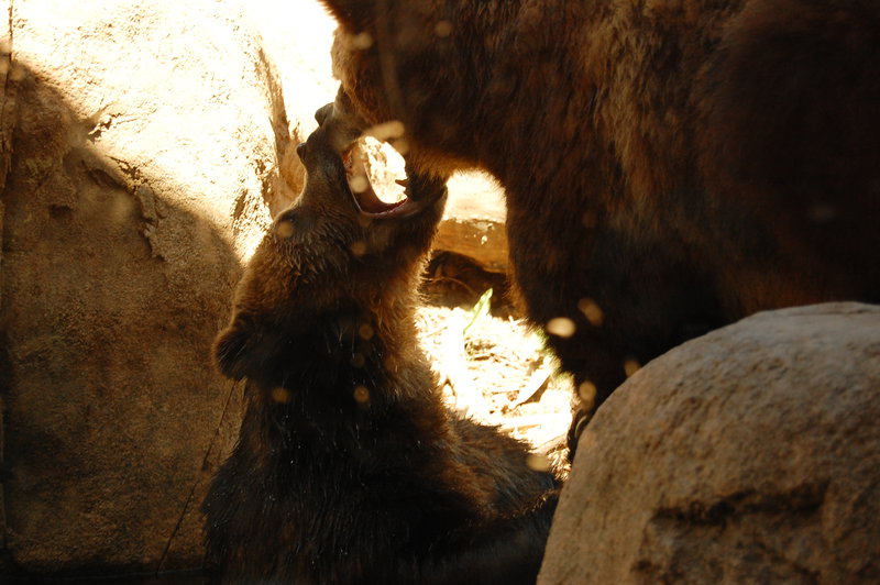 William-2010_04_28 129