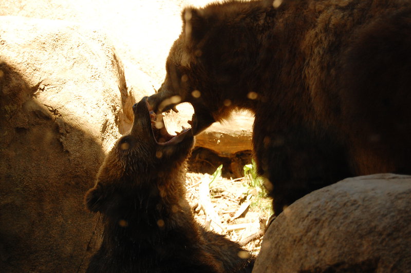 William-2010_04_28 130