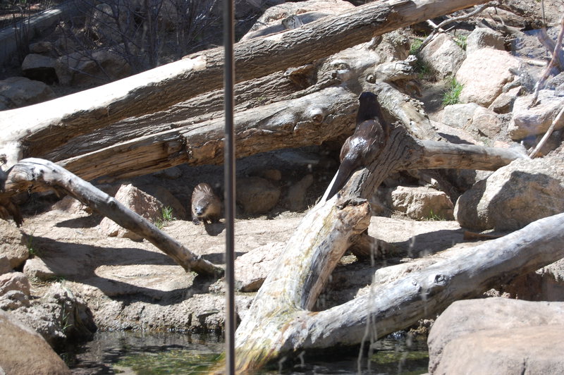 William-2010_04_28 144