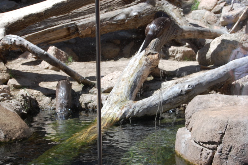 William-2010_04_28 145