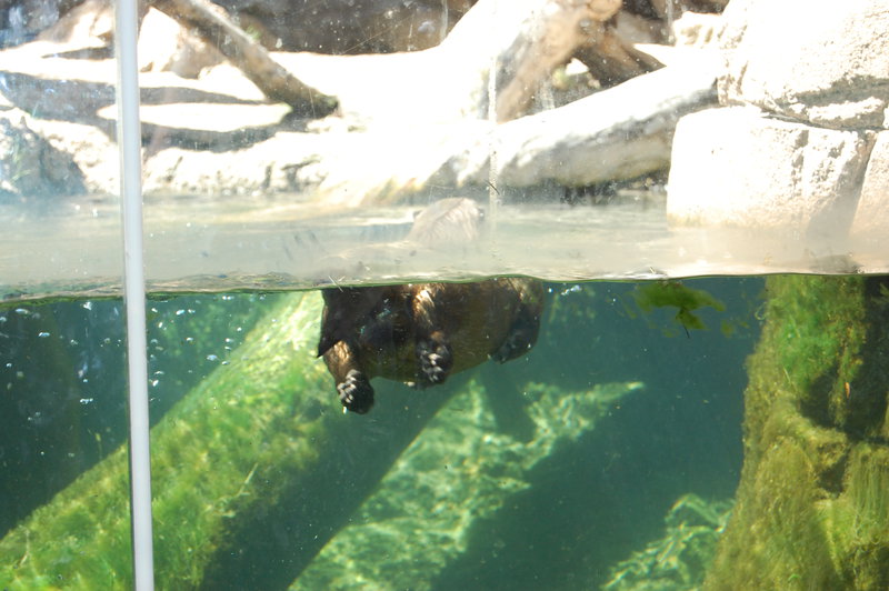 William-2010_04_28 147