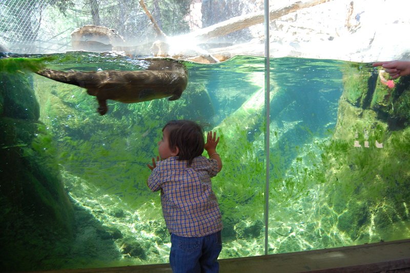 William-2010_04_28 150