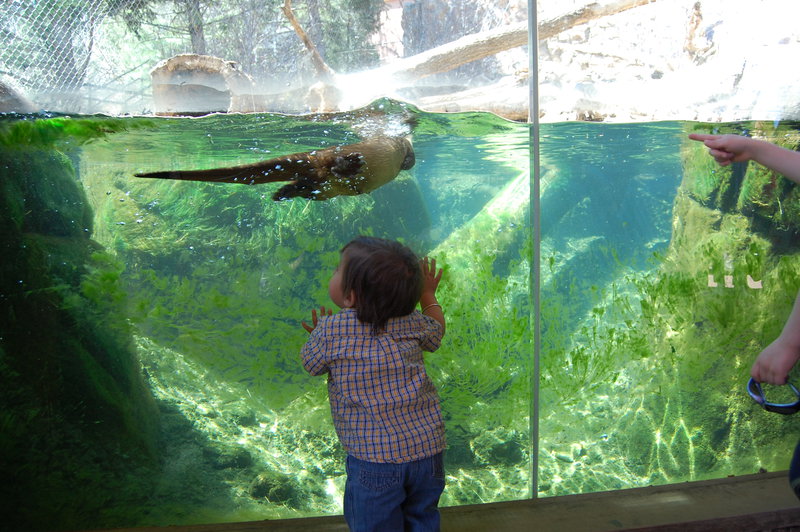 William-2010_04_28 151