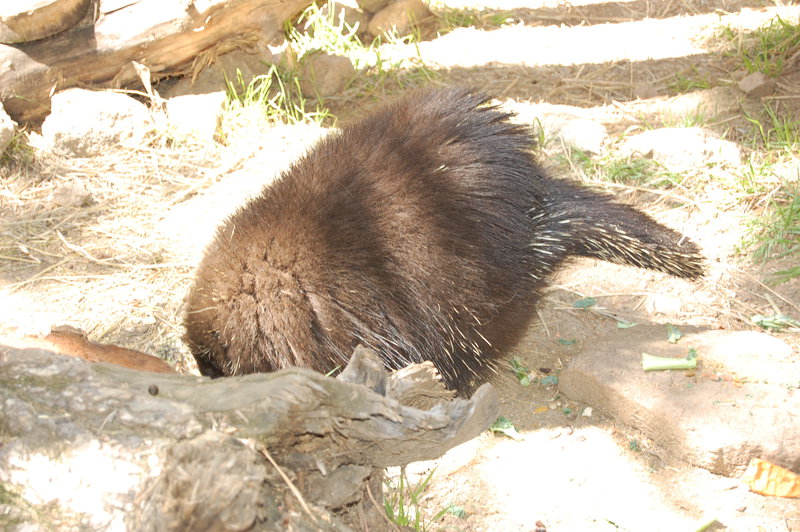 William-2010_04_28 154