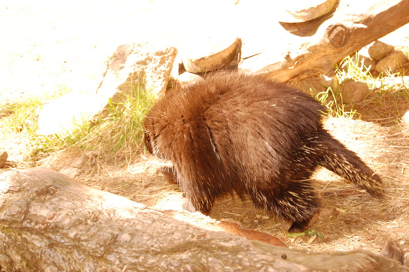 William-2010_04_28 155