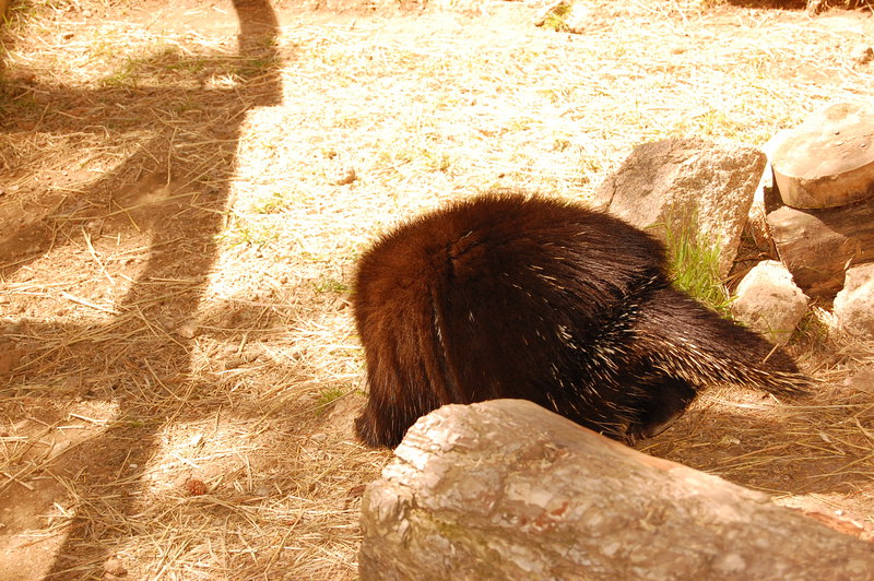 William-2010_04_28 156