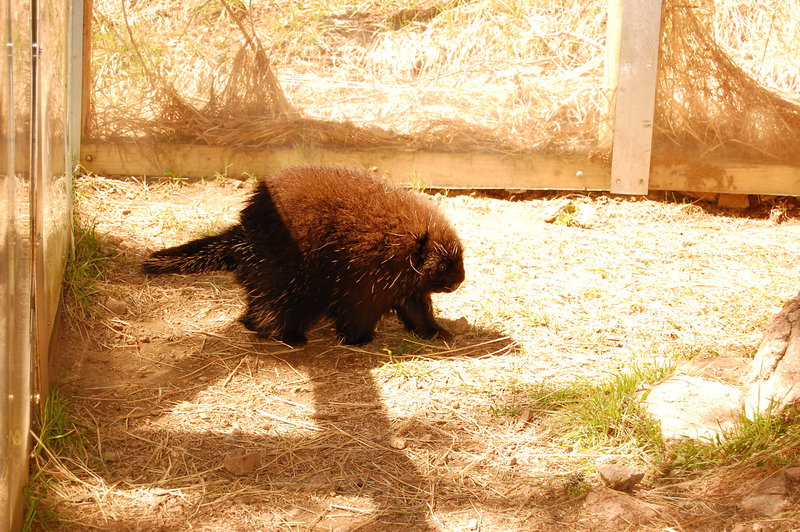 William-2010_04_28 157