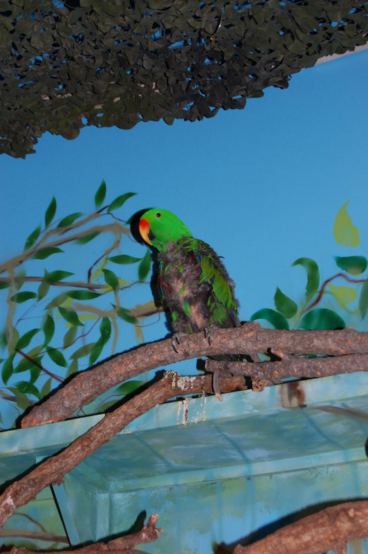 William-2010_04_28 163