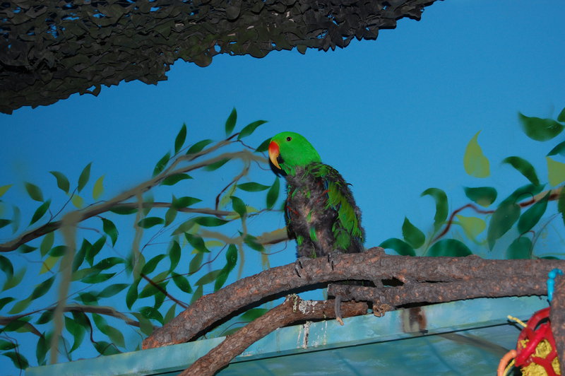 William-2010_04_28 164