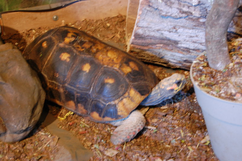 William-2010_04_28 165