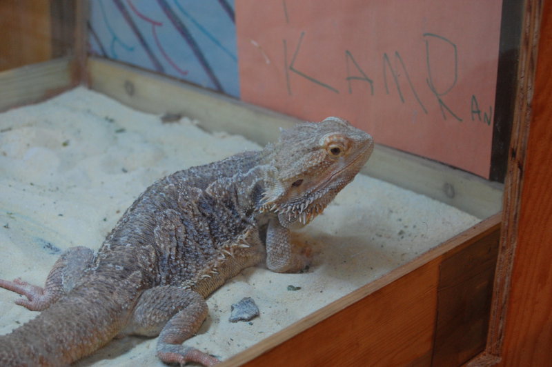 William-2010_04_28 166