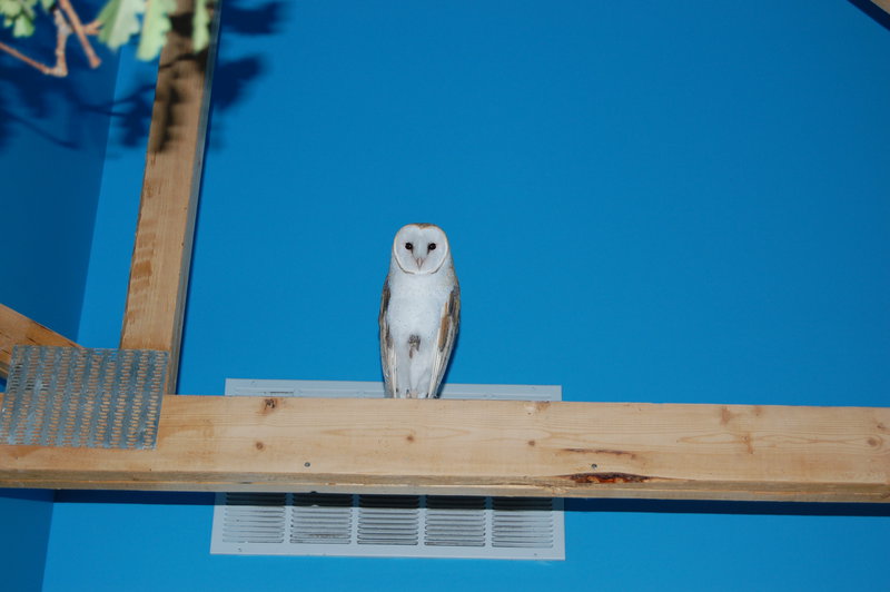 William-2010_04_28 167