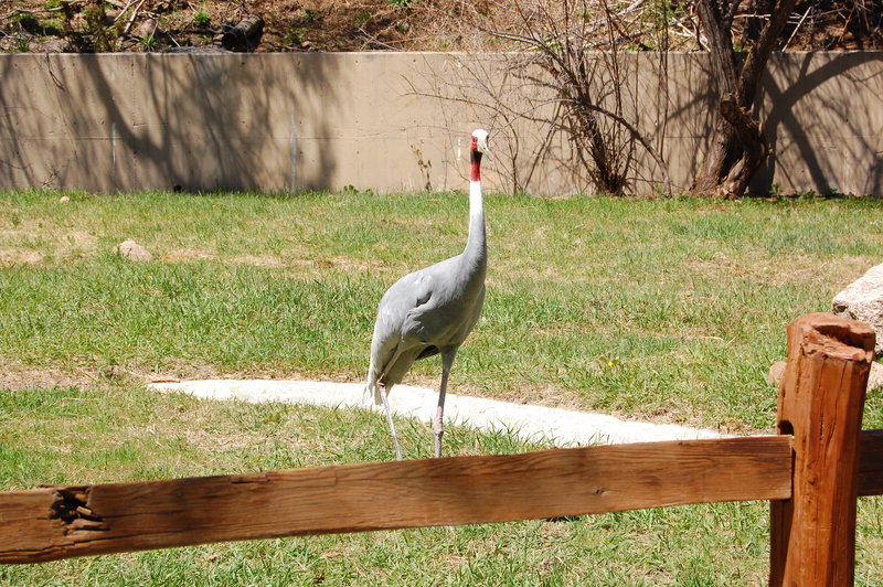 William-2010_04_28 173