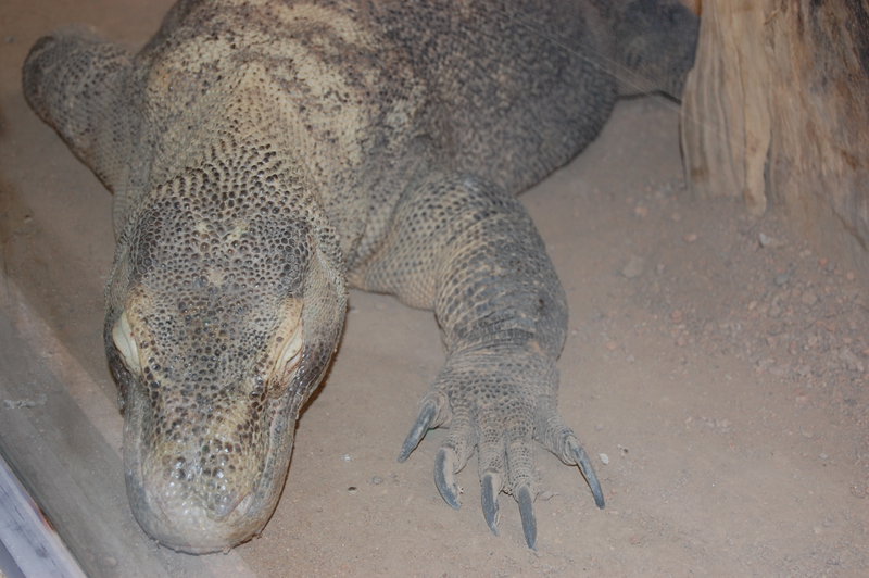 William-2010_04_28 176