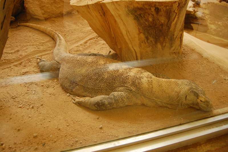 William-2010_04_28 178