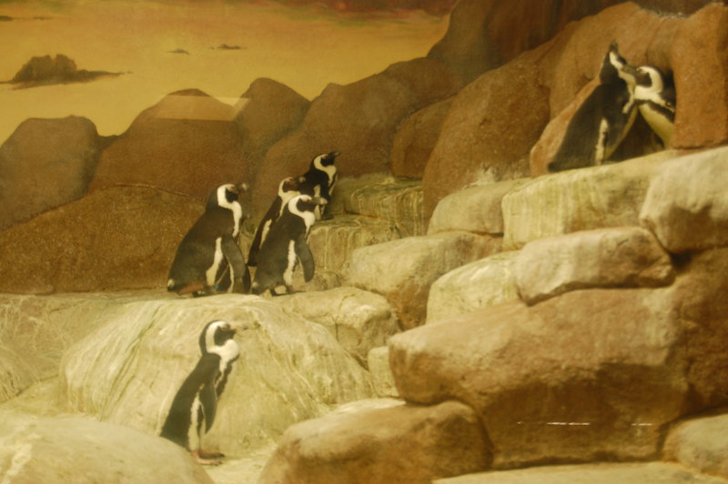 William-2010_04_28 179