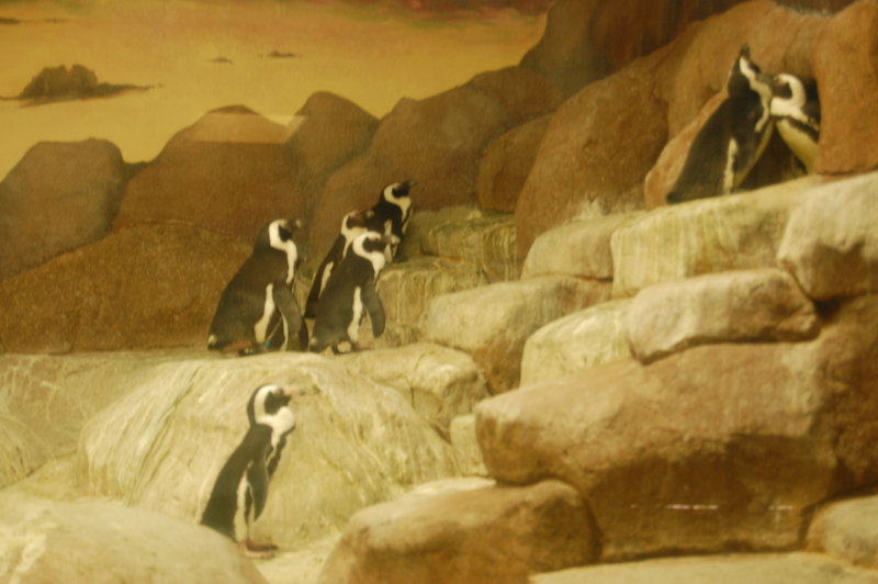 William-2010_04_28 180