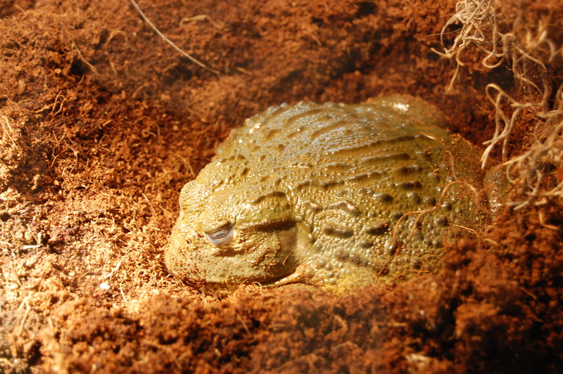 William-2010_04_28 181