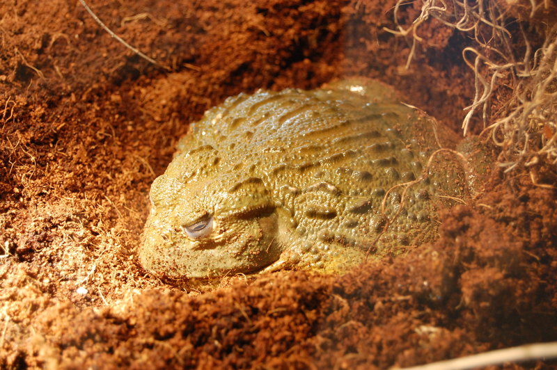 William-2010_04_28 182