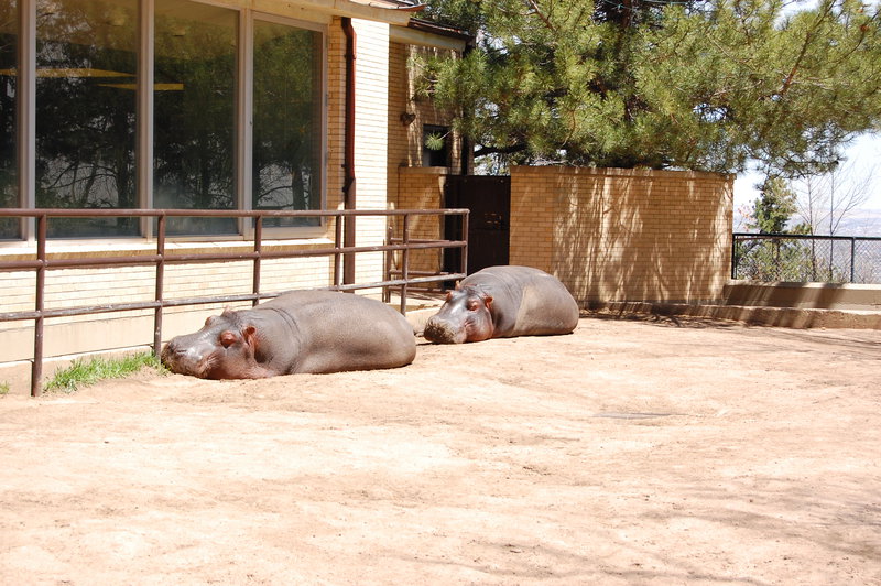 William-2010_04_28 184