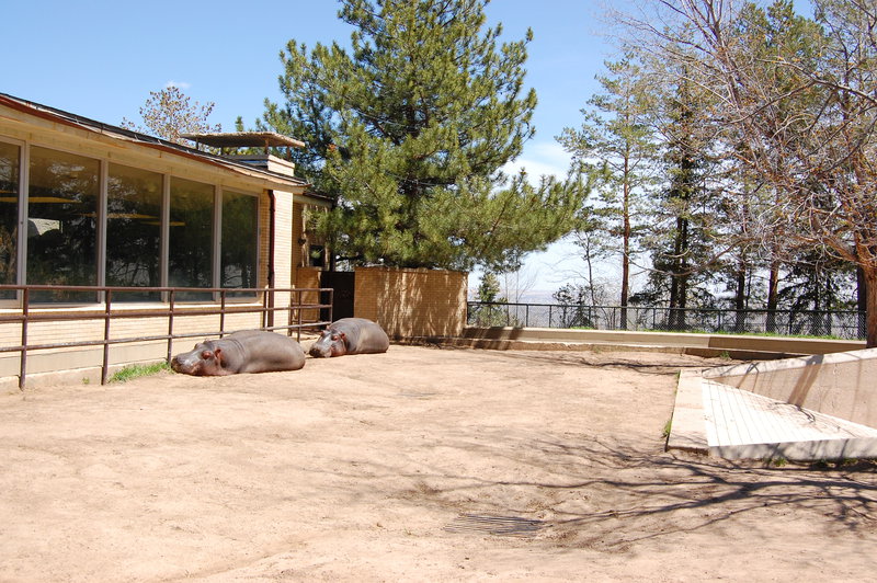 William-2010_04_28 185