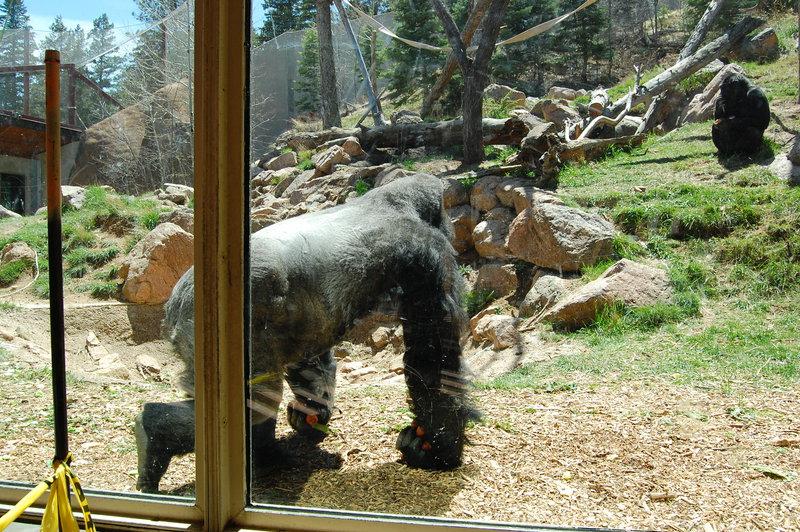 William-2010_04_28 186